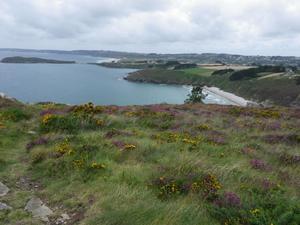Sites et Paysages Le Panoramic - Photo 5
