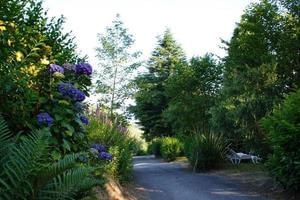 Sites et Paysages Le Panoramic - Photo 10