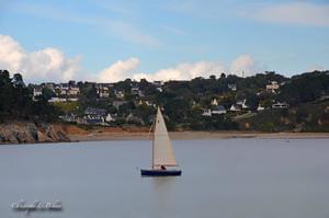 Sites et Paysages Le Panoramic - Photo 23