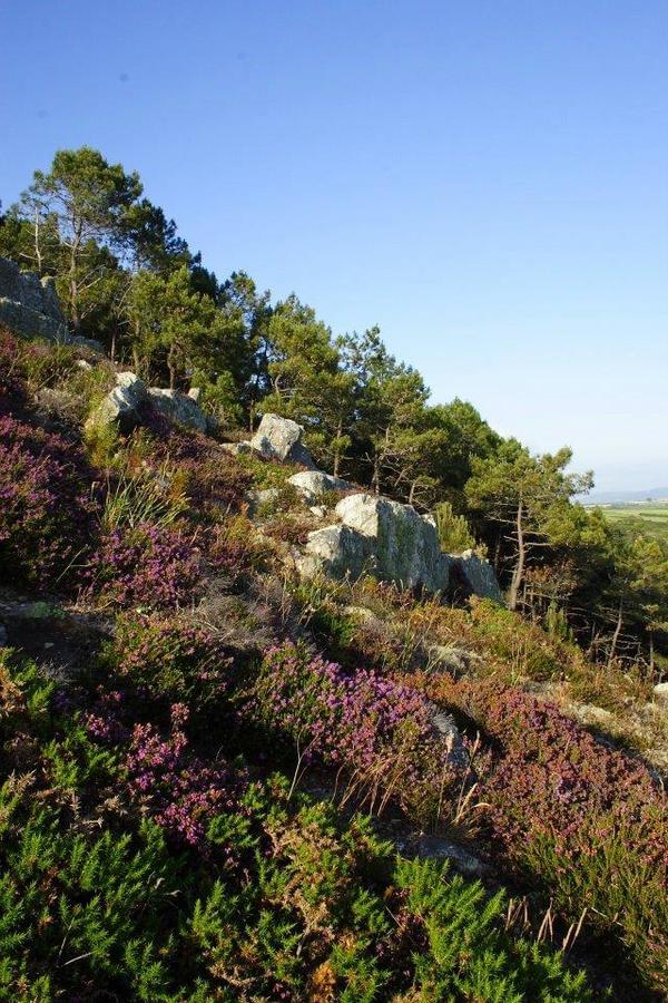 Sites et Paysages Le Panoramic - Photo 24