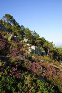 Sites et Paysages Le Panoramic - Photo 24