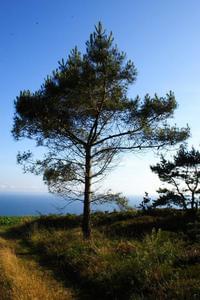 Sites et Paysages Le Panoramic - Photo 25
