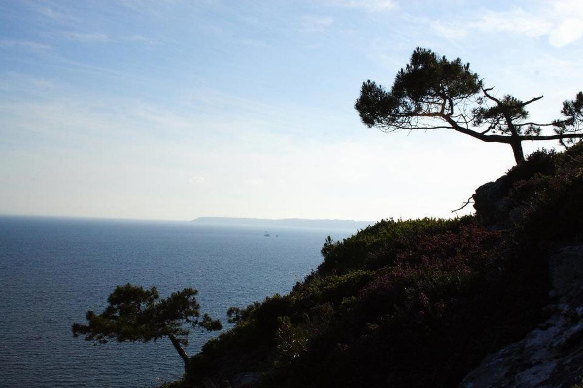 Sites et Paysages Le Panoramic - Photo 26
