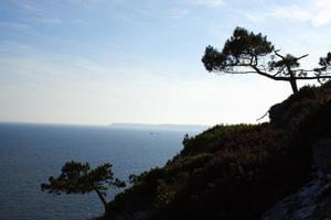 Sites et Paysages Le Panoramic - Photo 26