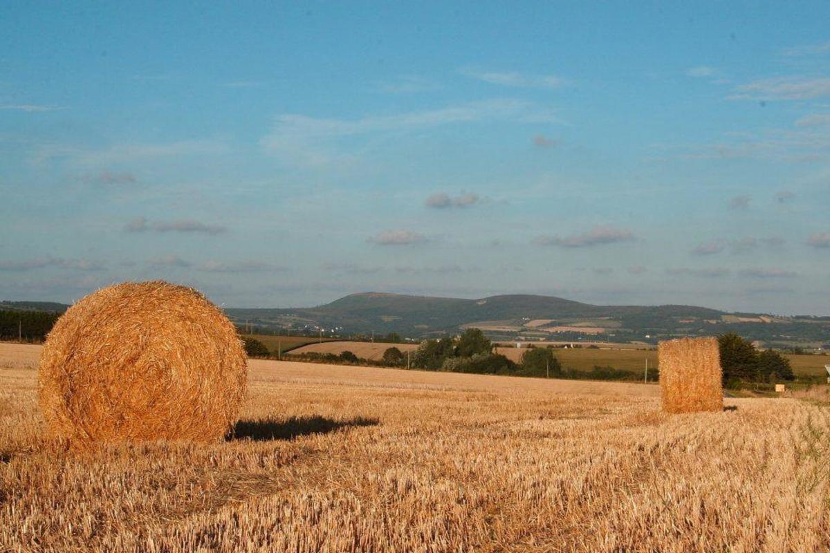 Sites et Paysages Le Panoramic - Photo 27