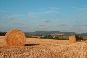Sites et Paysages Le Panoramic - Photo 27
