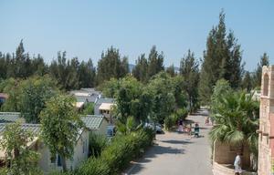 Camping Les Palmiers - Photo 14