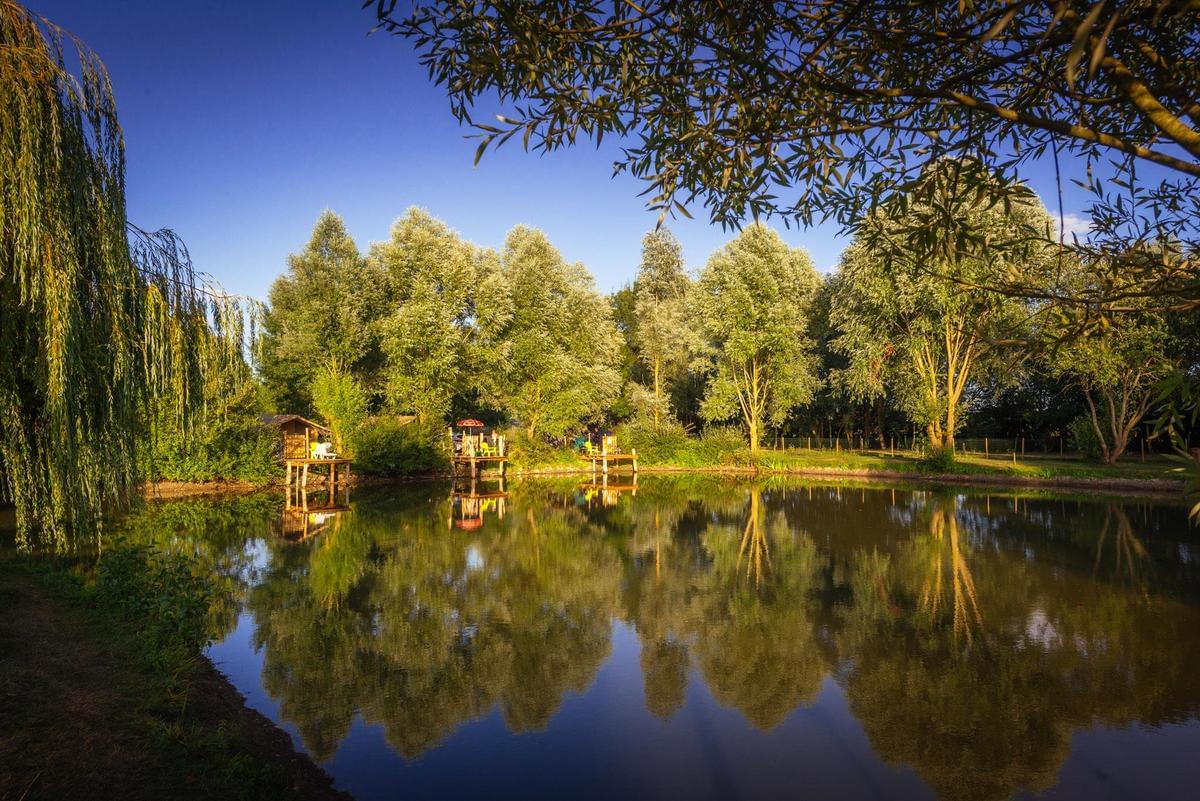 Sites et Paysages Camping de l'Etang - Photo 101