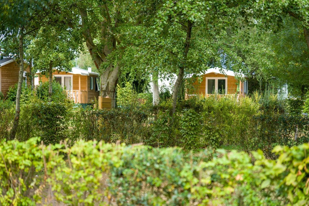Sites et Paysages Camping de l'Etang - Photo 2
