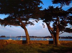 Sites et Paysages de Penboch - Photo 9