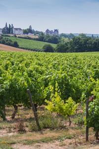 Sites et Paysages Camping de l'Etang - Photo 1315