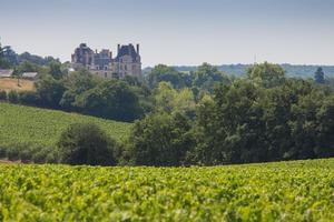 Sites et Paysages Camping de l'Etang - Photo 1317