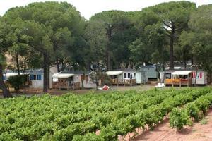 Camping Les Cigales - Photo 4