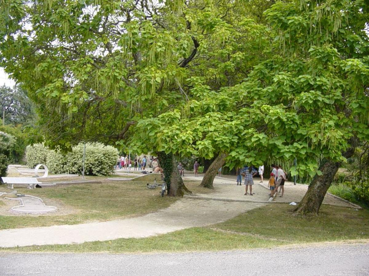 Camping La Rivière**** - Photo 842