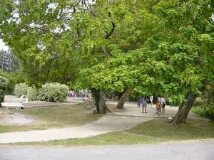 Camping La Rivière**** - Photo 842