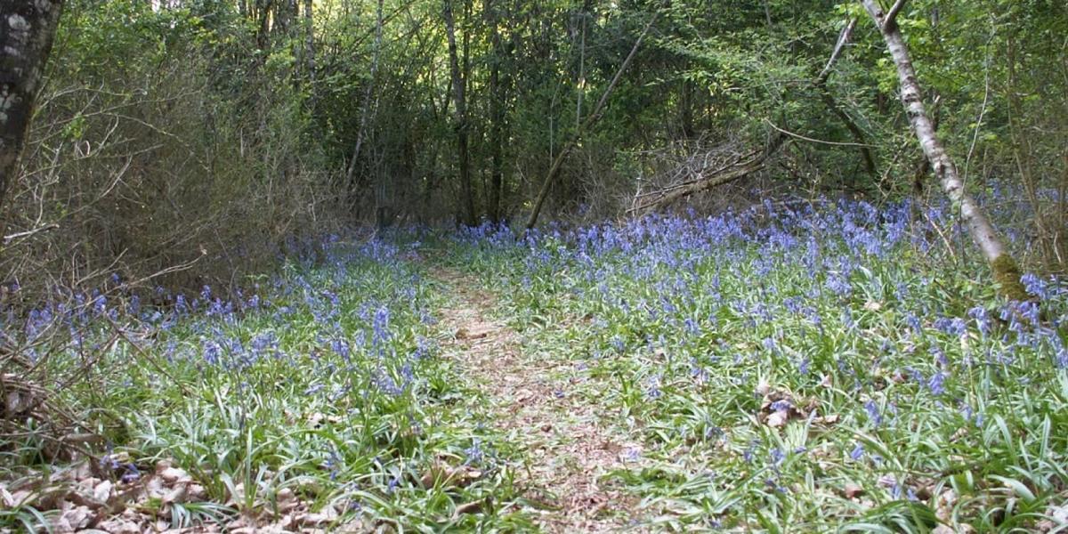 Camping La Rivière**** - Photo 1350