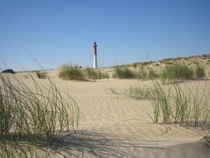 Siblu – Les Charmettes - Photo 1316