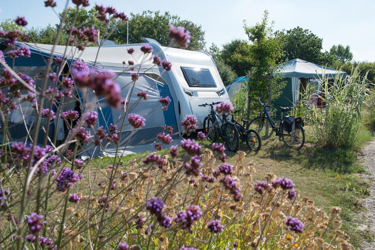 Flower Camping Le Petit Paris - Photo 6