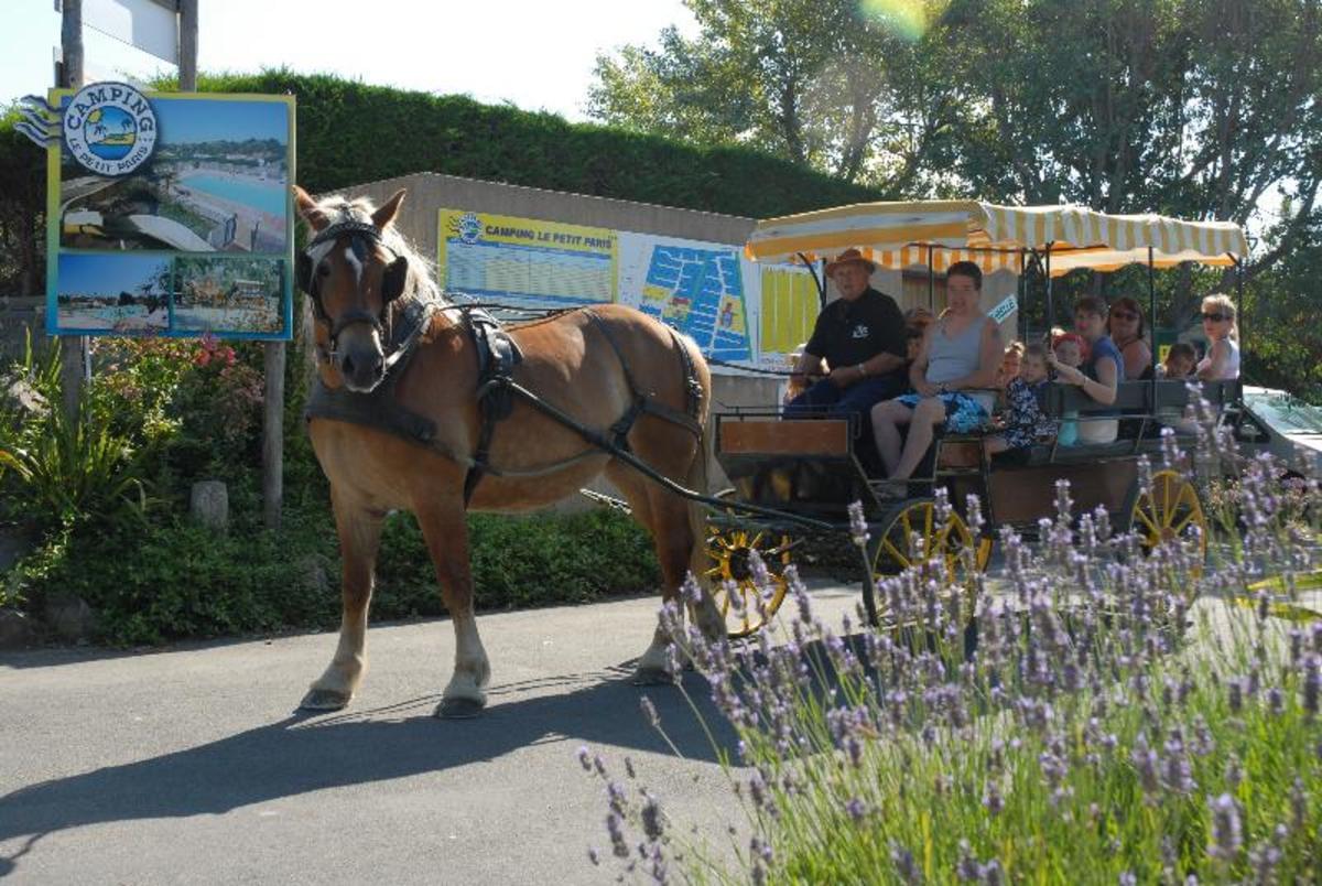 Flower Camping Le Petit Paris - Photo 32