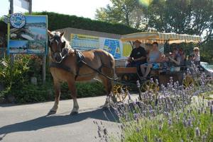 Flower Camping Le Petit Paris - Photo 32