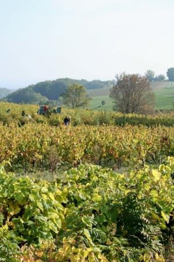 Camping Le Soleil des Bastides - Photo 26