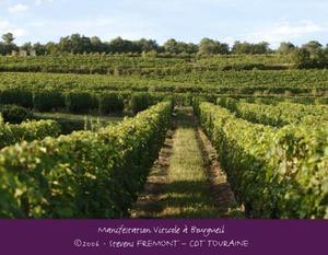Airotel La Mignardière - Photo 23