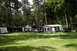 Vakantiepark Bonte Vlucht - Photo 2