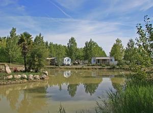 Domaine Le Jardin du Marais - Photo 11