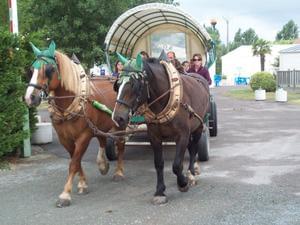 Domaine Le Jardin du Marais - Photo 9