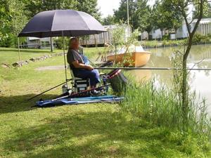 Domaine Le Jardin du Marais - Photo 30