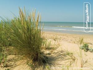 Domaine Le Jardin du Marais - Photo 43