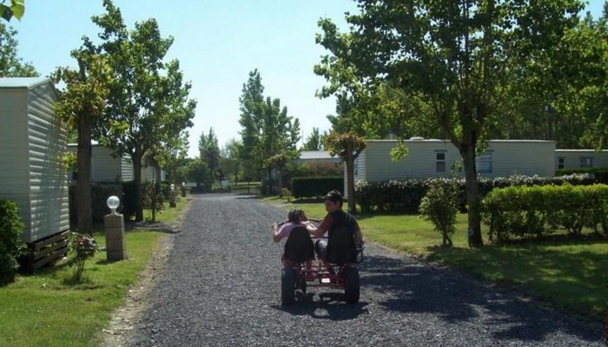 Domaine Le Jardin du Marais - Photo 50