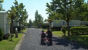 Domaine Le Jardin du Marais - Photo 50