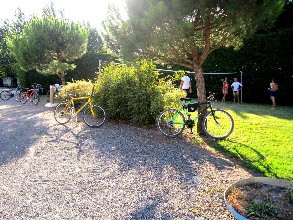 Domaine Le Jardin du Marais - Photo 53