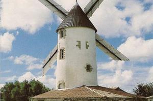 Domaine Le Jardin du Marais - Photo 70