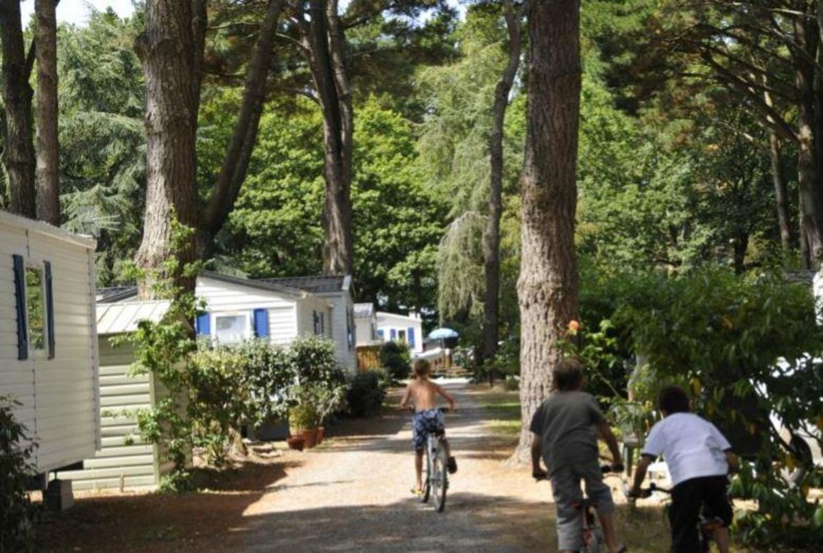 Camping Le Château du Petit Bois - Photo 0