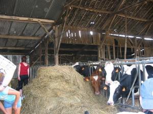 Camping L'Arada Parc - Photo 37