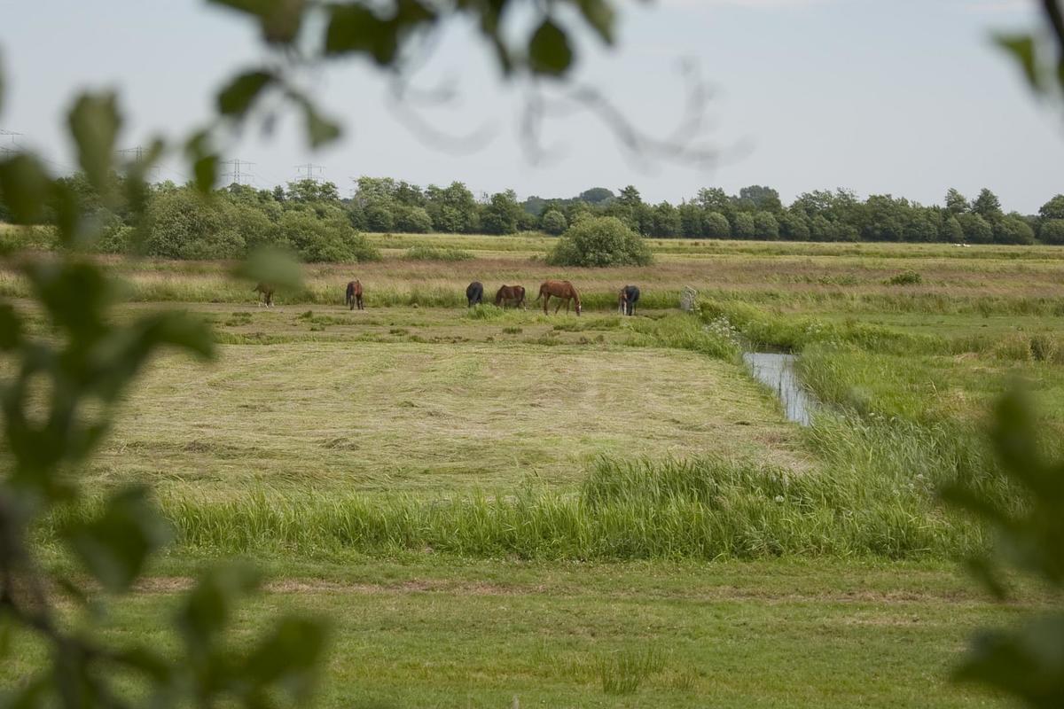 Camping 't Strandheem - Photo 37