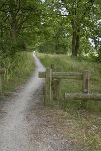 Camping 't Strandheem - Photo 35