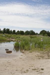 Camping 't Strandheem - Photo 42
