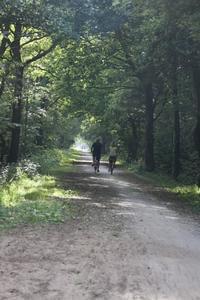 Camping 't Strandheem - Photo 43