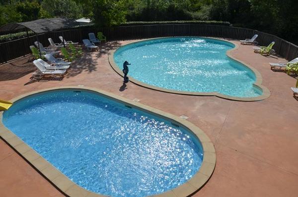 Image of Flower CAMPING SAINT AMAND