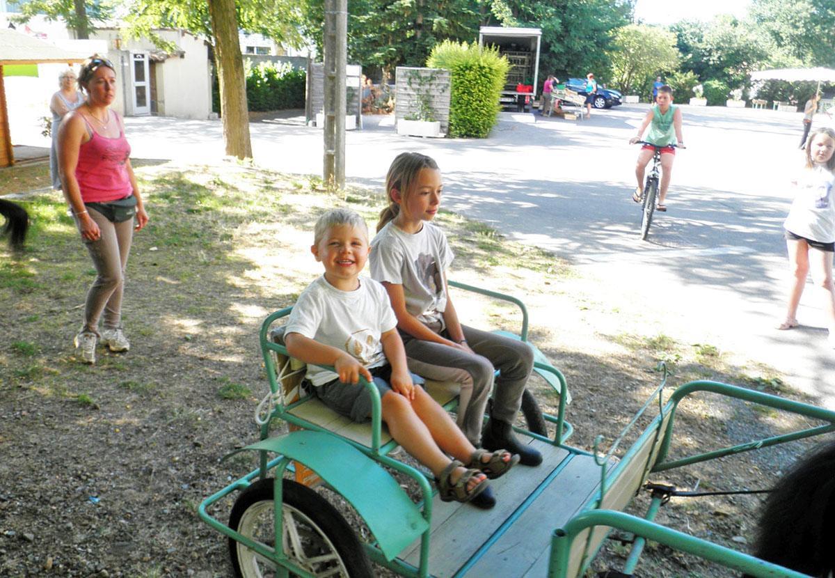 Flower CAMPING LES FAUVETTES - Photo 4