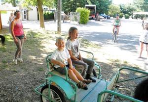 Flower CAMPING LES FAUVETTES - Photo 4