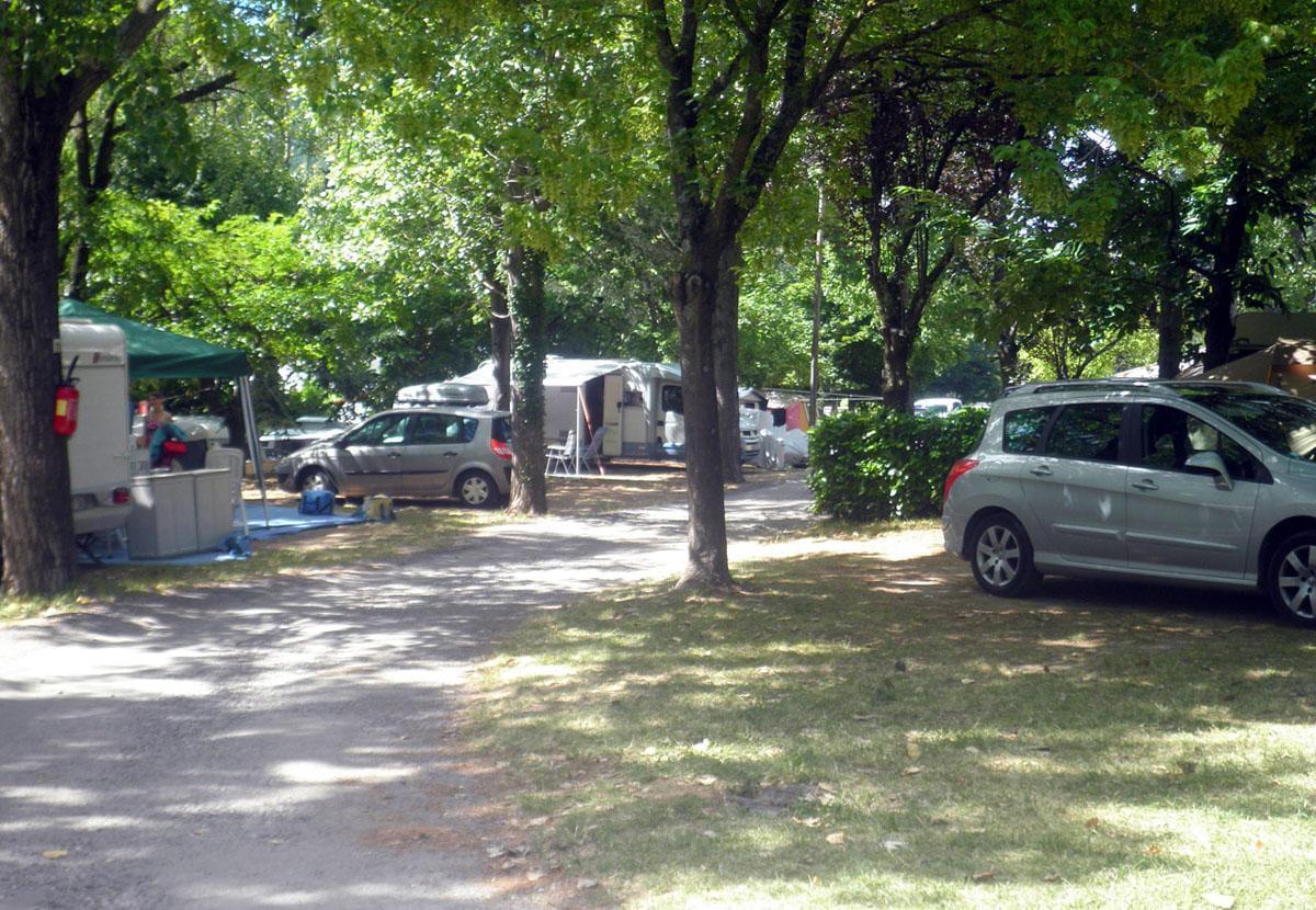 Flower CAMPING LES FAUVETTES - Photo 5