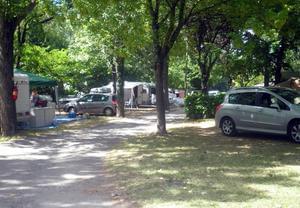 Flower CAMPING LES FAUVETTES - Photo 5