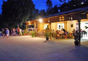 Flower CAMPING LES FAUVETTES - Photo 9