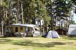 Camping Le Petit Bois*** - Photo 1307