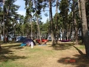 Camping Le Petit Bois*** - Photo 105