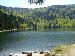 Flower Camping LA STENIOLE - Photo 35